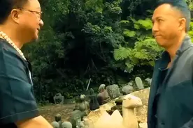 武痴王宝强，狠帅的一匹视频封面