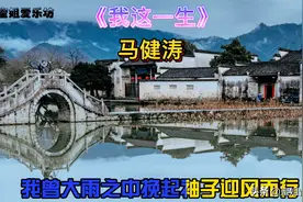 最近很火的《我这一生》以为是半吨兄弟唱的，原唱原来是他完整版视频封面