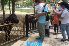广州新开的亲子乐园，零距离体验喂马、袋鼠，小朋友超开心视频封面