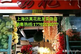 跟随我的脚步带你去遨游我的花花世界……图片