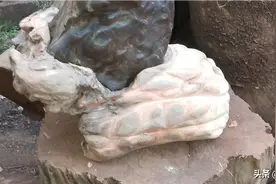 奇石制底座图片
