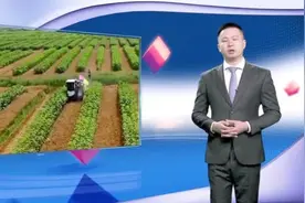 【辛识平：品味特殊时期的丰收味道】“喜看稻菽千重浪视频封面