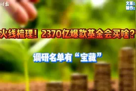 【#2370亿爆款基金#会买啥？调研名单有“宝藏”】据多方报道