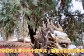 带你来揭秘故宫3个不能拍照的地方，其中一个就在这御花园中