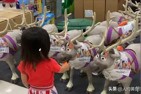 《冰雪奇缘》Sven小鹿买回家啦！（79美金降价后20美金买回家）视频封面