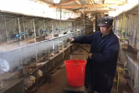 来一次春季彻底大清理，带兔子直接喷消毒液，大家见过没有？视频封面