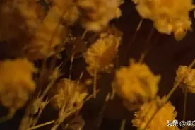 你总会找到属于自己的那颗星图片