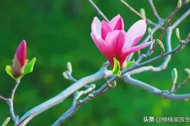 一起随缘，不为难自己，不勉强他人图片