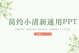 唯美简约小清新通用PPT模板演示视频封面