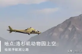 科比坠机动画模拟视频封面