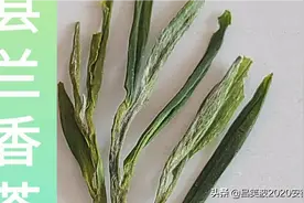 我最喜欢喝的三大绿茶图片