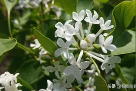 随手拍，记录生活图片