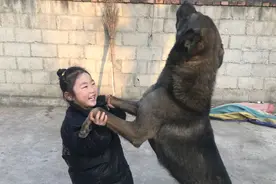孩子跟狗狗一块长大，是最好的玩伴，狗狗看孩子眼神都是宠溺的视频封面