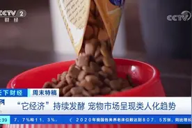 #宠物经济也疯狂#【#宠物市场现类人化趋势#，视频封面