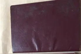 介绍一些护照的知识：Passport（护照）视频封面