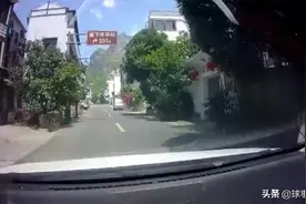 血的教训告诉你 乡村道路限速20是多有必要的！视频封面