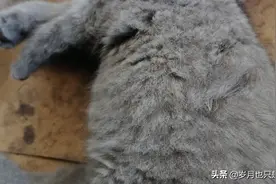 看看你家的朕都是咋睡得？图片