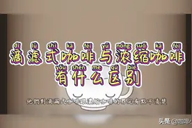 同样都是现磨咖啡，滴滤式咖啡与意式浓缩咖啡有什么区别？视频封面