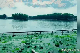 今天，你好图片