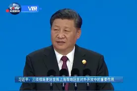 习近平：三项措施更好发挥上海等地区在对外开放中的重要作用视频封面