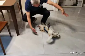 豆豆与豆爷图片