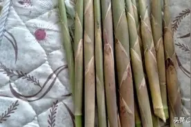 毛竹笋真是毛多肉少，但做成菜挺香图片