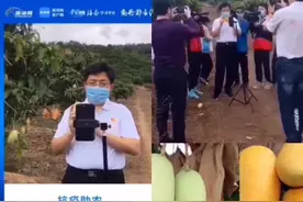 疫情特殊时期海南省三亚市长直播帮助农民卖芒果！我也帮收芒果..视频封面