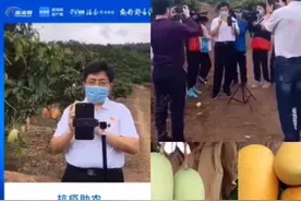 疫情特殊时期海南省三亚市长直播帮助农民卖芒果！我也帮收芒果..视频封面