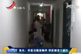老鼠当宠物养，没见过…视频封面
