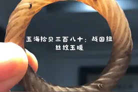 玉海拾贝之三百八十：战国纽丝纹玉瑗视频封面