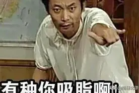 与蚊子一起的故事图片