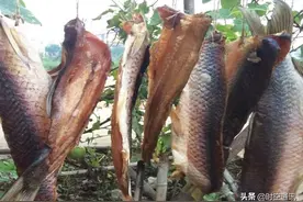 世卫组织把咸鱼腊肉列为一类致癌物，这些与癌症发生率关系大吗？图片