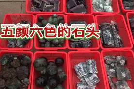 五颜六色的石头，老板开价800，价都不敢还，超出心里价位太多…视频封面