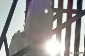 这就是力诺瑞特太阳能。图片