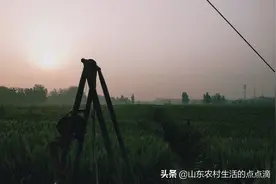 五一劳动节，回家劳动！图片