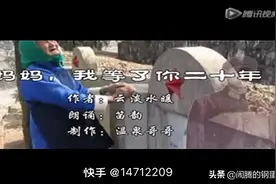 妈妈，我等了你二十年视频封面