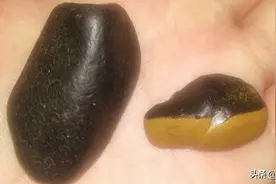 我是一颗小小的石头，深深地埋在泥土之中……图片