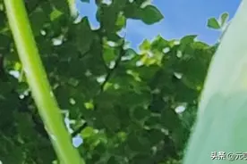 承诺的兑现！图片