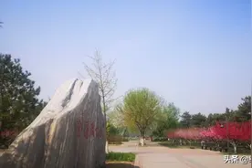 通州大运河森林公园图片
