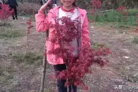 三个小美女图片