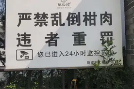 新会陈皮：要皮不要肉，数以万吨的新会柑肉遭弃，有什么好办法？图片