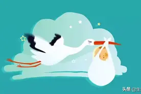 动画科普：让你大开眼界的动物生育方式