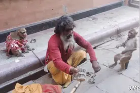 印度苦行僧在街头开始耍猴表演啦！视频封面