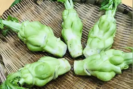 用青菜头也叫羊角菜制作一道简单易做的咸菜，麻辣开胃，超下饭视频封面