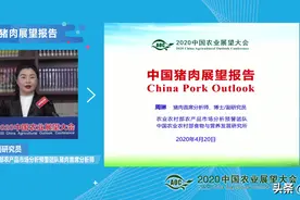 2020中国农业展望大会—中国猪肉展望报告视频封面