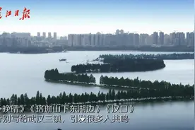 一开口就惊艳了！晴川历历汉阳树，这支本土乐队把武汉唱成诗视频封面