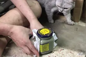 王致和臭豆腐秘制，猫都爱吃的神奇珍馐视频封面