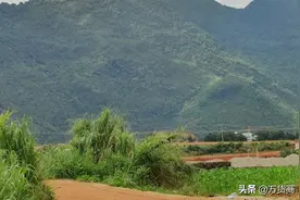 做什么也不容易，坚持吧图片