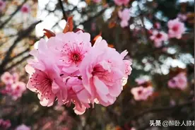 往事不堪回首图片