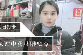 药材姐教你：认识中药材肺心草，雾霾天咳嗽吃它准没错。视频封面